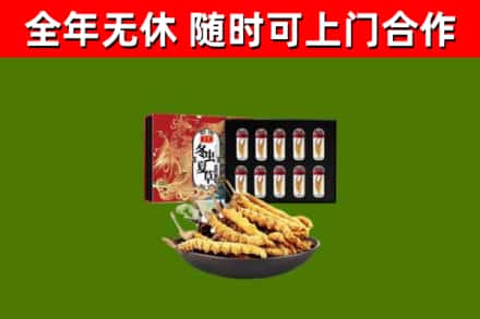 铜梁回收冬虫夏草价格
