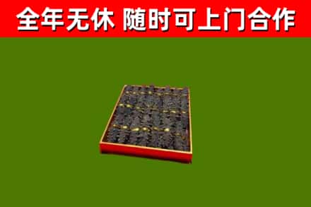 铜梁回收海参